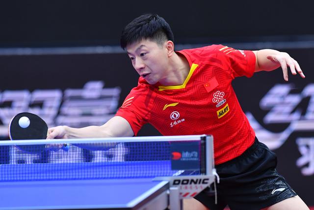 献了力量 献了力量