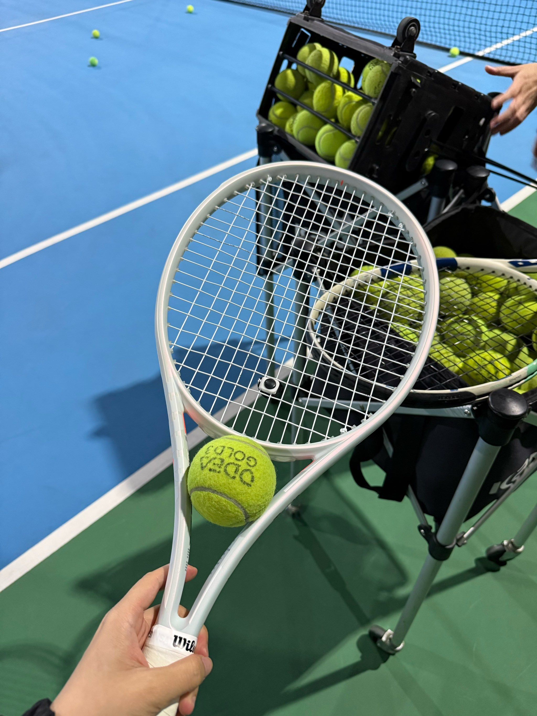 足的贡献 足的贡献