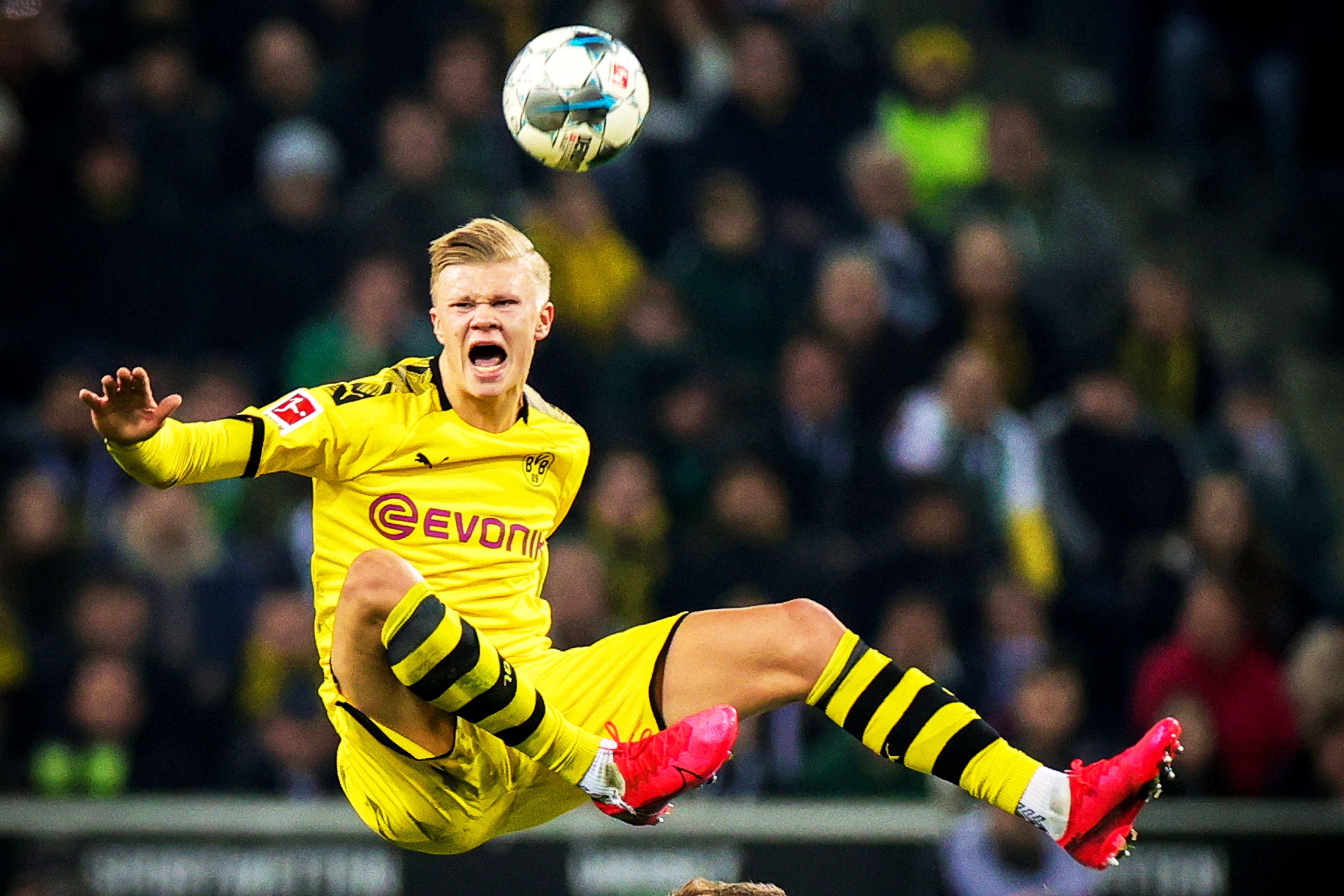 数来管理风 数来管理风