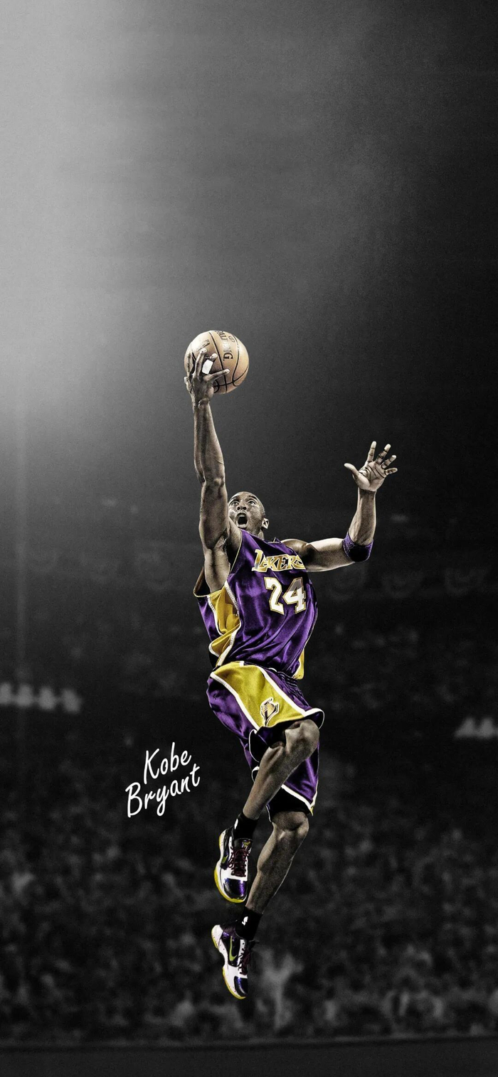 本届赛事报 本届赛事报